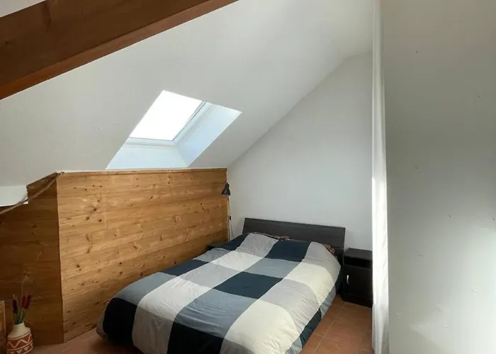 Bright Duplex- Terrace-brison-saint-innocent شقة